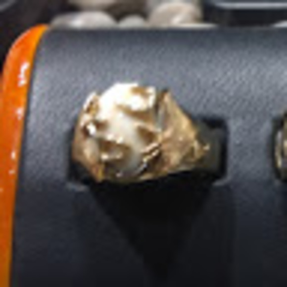 Meet your Posher, Blake - Picture 1 of 1